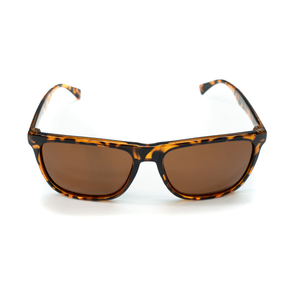 Polarized Tortoiseshell Wayfarers Tortoiseshell Wayfarer
