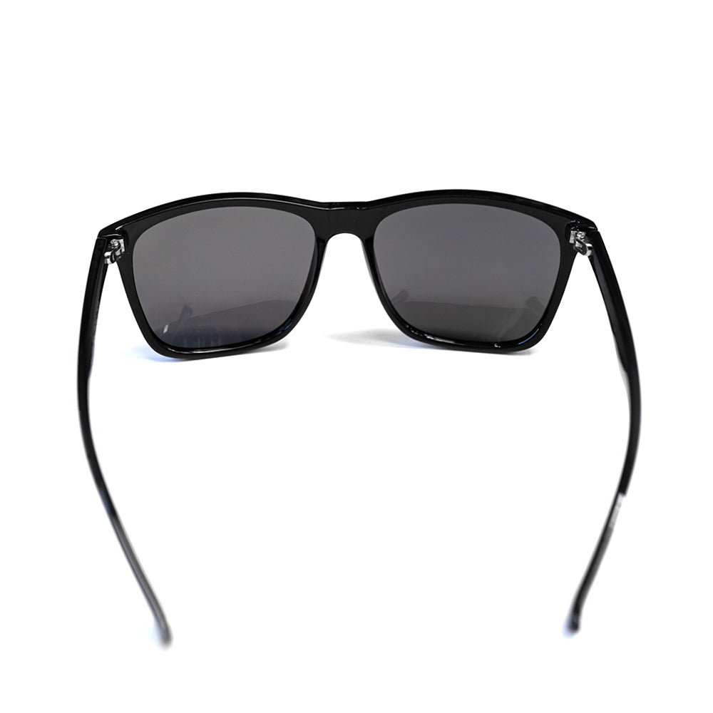 Wayfarer Sunglasses